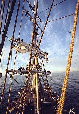 Masts of sailing ship, Dar Pomorza