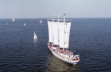 Oceana, Tall Ships' Races