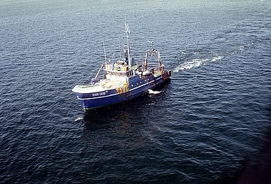 Pesca, Mar Bltico, Dar-308