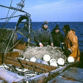 Fisker, fisk båd Gda-8