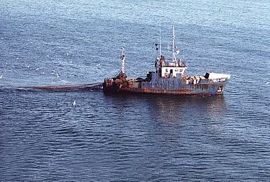 Barco de pesca, Wla 299