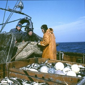 Fishermen, work, Wla 307