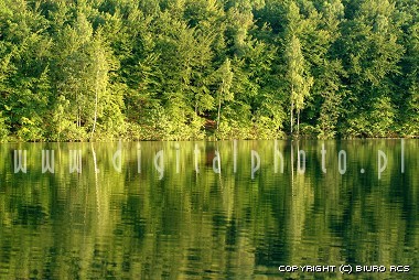 Bilde av innsjøen og skog