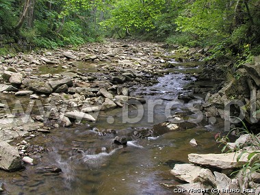 Potok Nasiczaski - Bieszczady