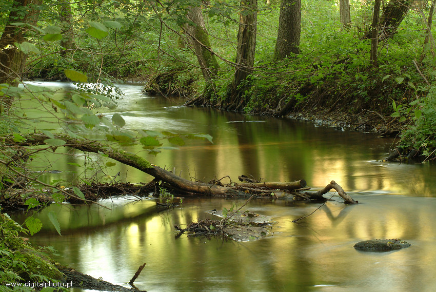 Flusso di Klodawka