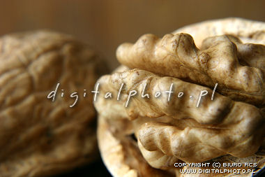 Billeder i walnuts