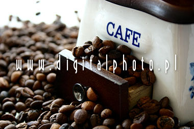 Graines de caf - photos