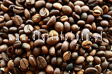 Caf > grãos do caf