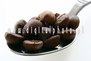 Coffee beans on the spoon