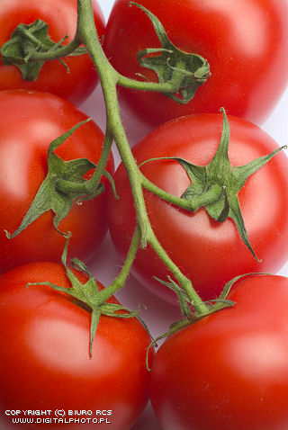 Foto's van groenten: Tomaten