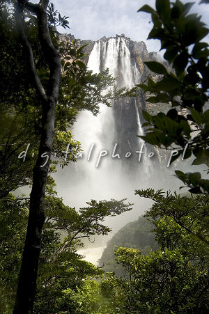 Salto ngel - hgst Waterfalls av vrlden (ngelnedgångar)