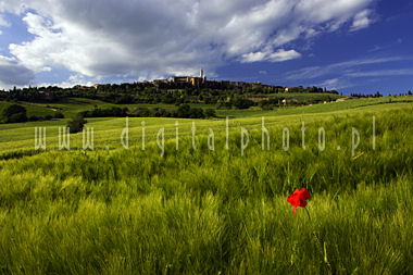 Landskaper av Toscanii