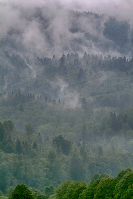 Fog, mist in the mountains