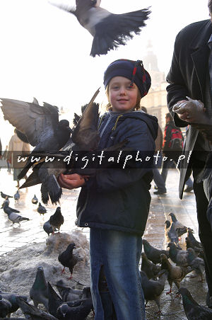 Cracovia, mercato quadrato principale, piccioni, bambini