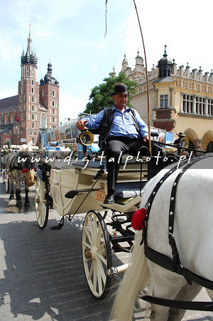 Hestevogne foto Sukiennice, Markedsplads i Krakow