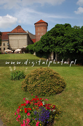 Fotografia zamku na Wawelu
