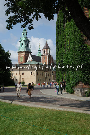 De Wawel foto