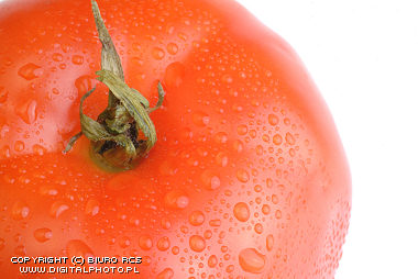 Tomat billed