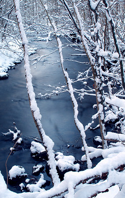 Paesaggio invernale, inverno fiume