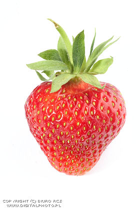 Fraise, image de la fraise