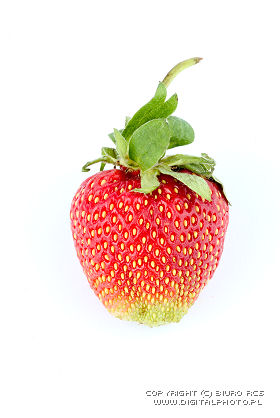 Jordbær, foto av jordbær