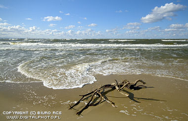 Baltische Strand