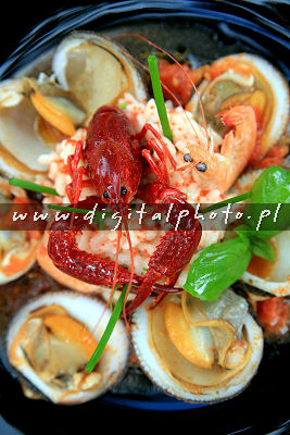 Fotos do Seafood