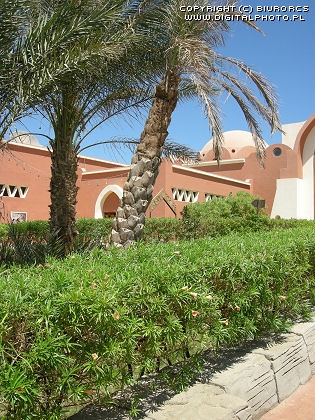 Hoteles en Sharm El Sheikh