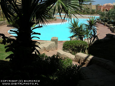 [http://www.digitalphoto.pl/foto_galeria/2573_2007-0458_Palm_trees_in_Egypt.jpg]