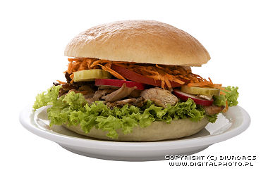 Hamburger, aliments de prparation rapide