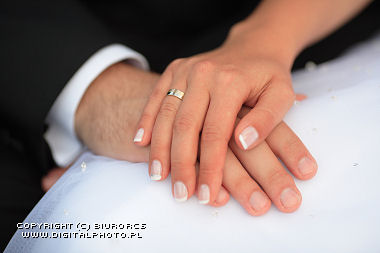 La fotografia di nozze, bride e governa