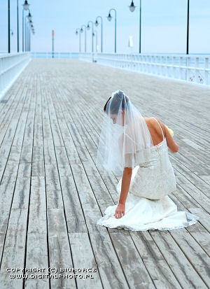 Bride wedding dress veil