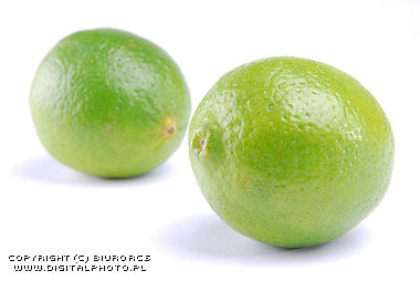 Citrus x aurantifolia, frutas de gallega