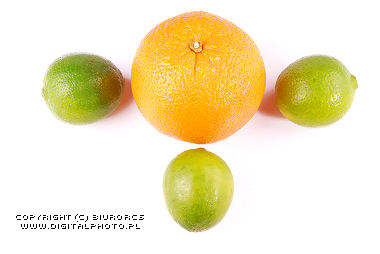Sitrusfrukt