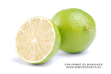 Key limes pictures