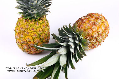 Pineapples, Ananas photos