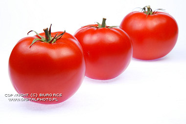 Pomidory, fotografie pomidorw