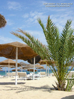 Beach, Tunisia