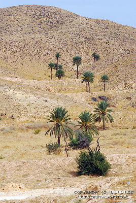 Paesaggi Africa, Matmata, Tunisia