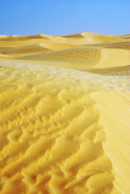 Pustynia Sahara, zdjcia pustyni
