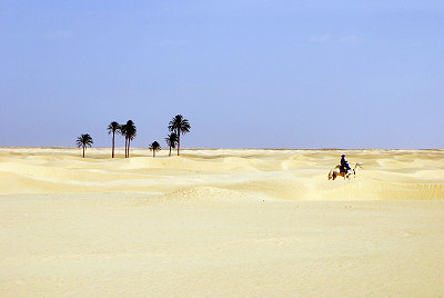 Ørken, Sahara, sandørken