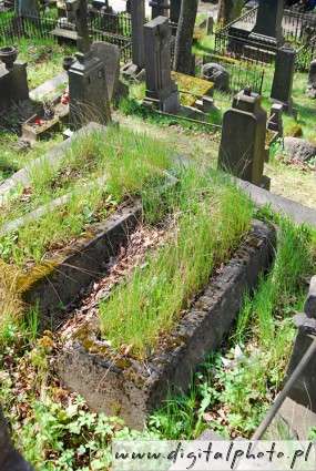 Foto's van begraafplaats, oude begraafplaatsbeelden