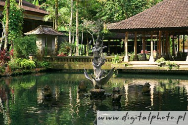 Wycieczka na Bali, Pura Thirta Gunung Kawi - wita sadzawka