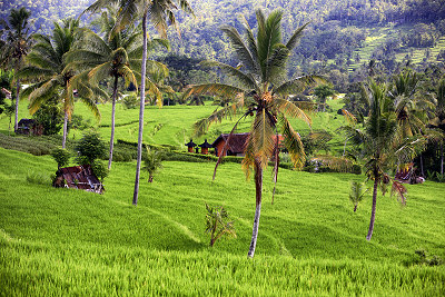 Indonesien landskap, Indonesien bilder