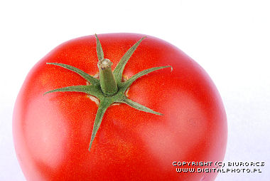 Rød tomato