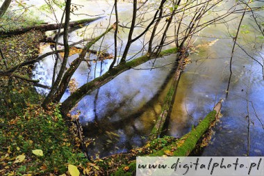 Natuurfotografie, Radunia rivier
