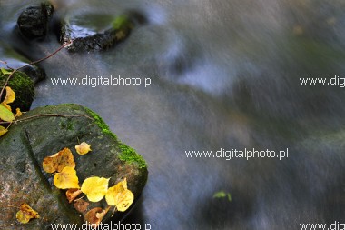Herbstlandschaft, Hintergrundbilder, Fluss, Bltter