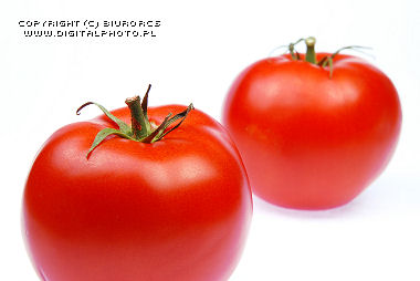 Pomodori , comune fotografia