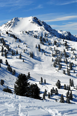 Bella d’inverno, neve e montagne