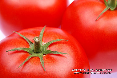 Tomates , l'action photographie